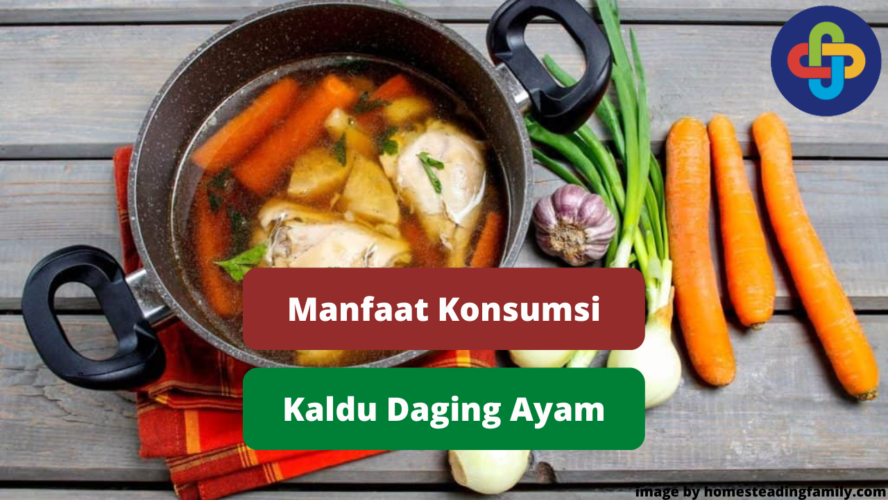 Berikut  5 Manfaat Kesehatan Konsumsi Kaldu Ayam